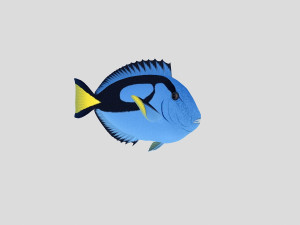 fish collection 04 ar-vr 3D Model