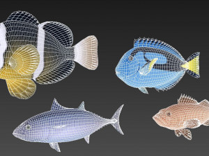 fish collection 04 ar-vr 3D Model