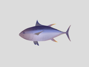 fish collection 05 ar-vr 3D Model