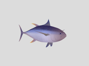 fish collection 05 ar-vr 3D Model
