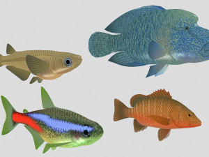 fish collection 07 ar-vr Model 3D