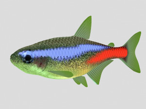 fish collection 07 ar-vr Model 3D