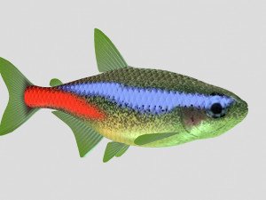 fish collection 07 ar-vr Model 3D