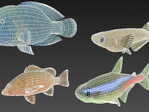 fish collection 07 ar-vr Model 3D