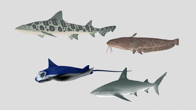 fish collection 06 ar-vr Model 3D .c4d .max .obj .3ds .fbx .stl .blend 