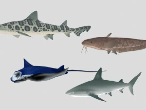 colecci&oacute;n de peces 06 ar-vr Modelo 3D