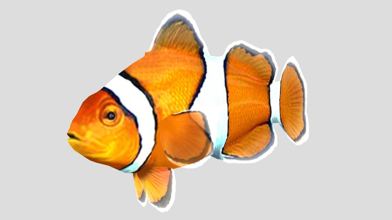 clownfish tropical fish ar-vr 3D Model .c4d .max .obj .3ds .fbx .stl .blend