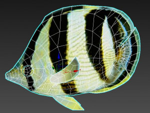 banded butterfly fish ar-vr 3D 模型