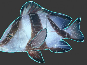 emperor red snapper fish ar-vr 3D Model