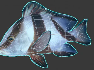 emperor red snapper fish ar-vr 3D Model