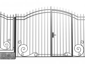 iron fence and gates 3D 모델