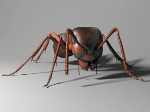 ant rigged 3D Model