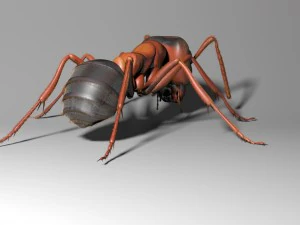 ant rigged 3D Model