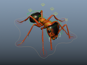 ant rigged 3D Model