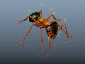 ant rigged 3D Model