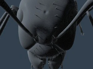 ant rigged 3D Model
