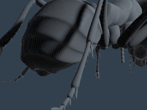 ant rigged 3D Model