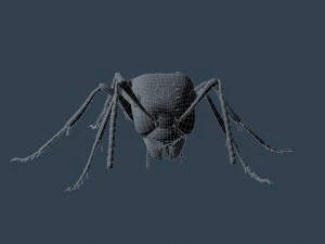 ant rigged 3D Model