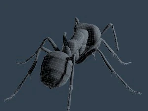 ant rigged 3D Model