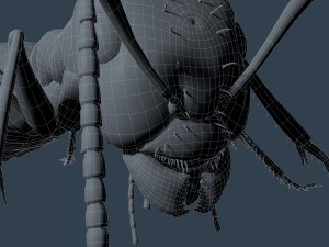 ant rigged 3D Model