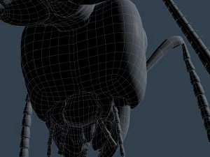 ant rigged 3D Model