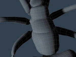 ant rigged 3D Model