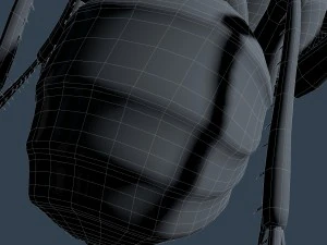 ant rigged 3D Model