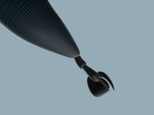 tick rigged 3D Model