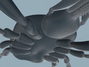 tick rigged 3D Model