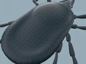 tick rigged 3D Model