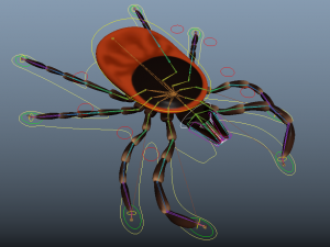 tick rigged 3D Model