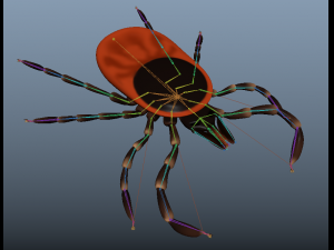 tick rigged 3D Model