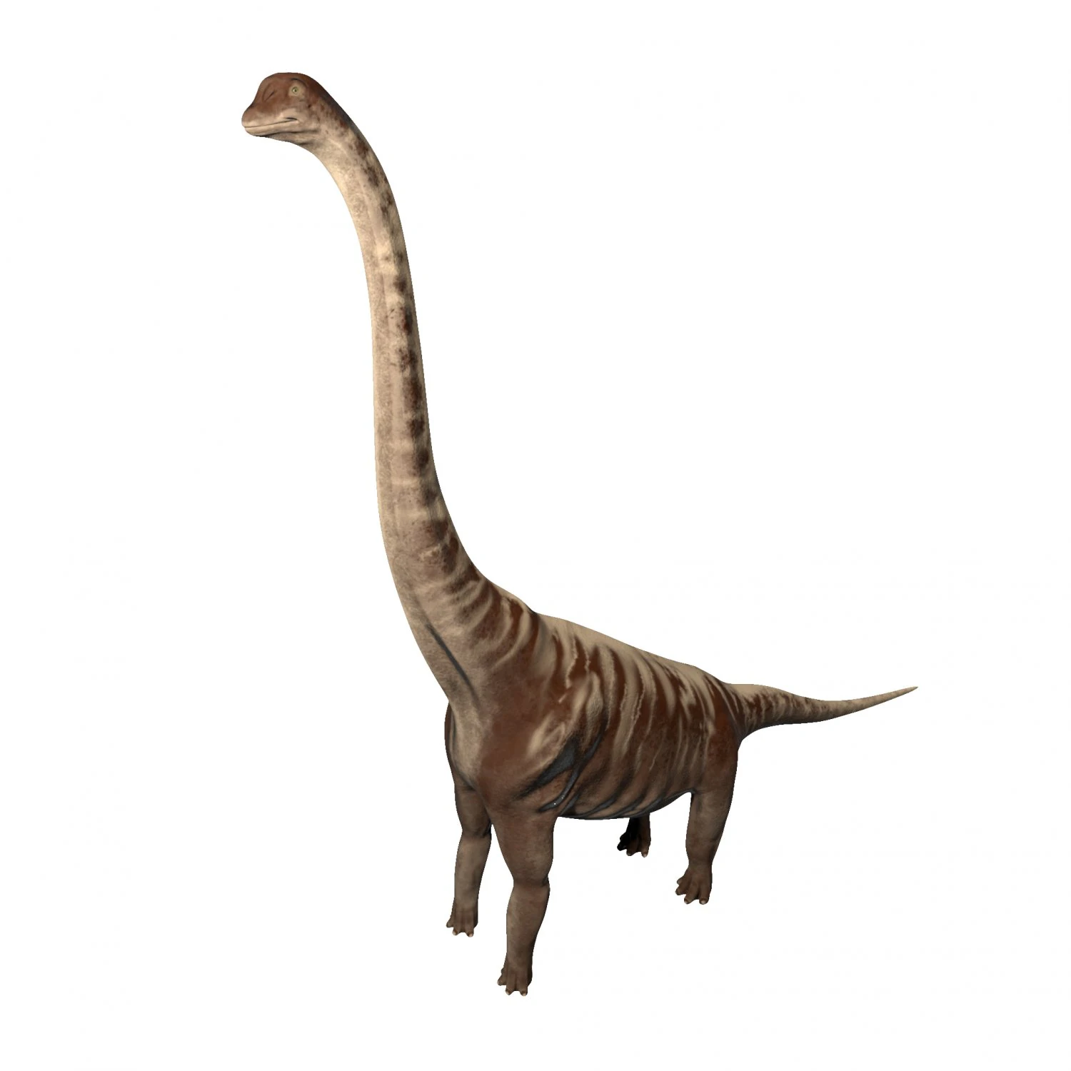 supersaurus rigged 3D Model .c4d .max .obj .3ds .fbx .stl .blend 
