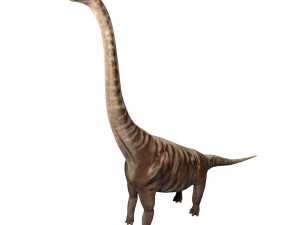 supersaurus rigged 3D Model