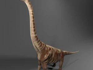 supersaurus rigged 3D Model