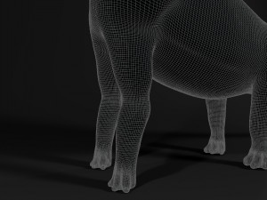 supersaurus rigged 3D मॉडल
