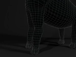 supersaurus rigged 3D Model