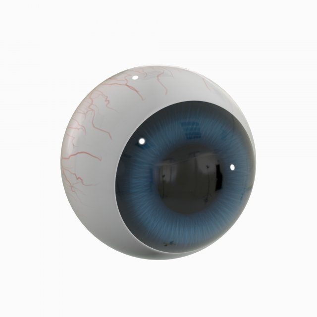 cartoon eyeball Modèle 3D .c4d .max .obj .3ds .fbx .stl .blend 