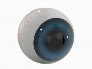 cartoon eyeball 3D Model
