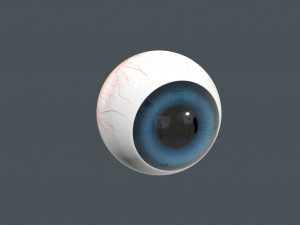 cartoon eyeball Modèle 3D