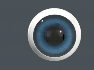 cartoon eyeball Modèle 3D