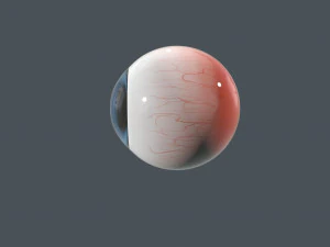 karikat&uuml;r g&ouml;z k&uuml;resi 3D Model