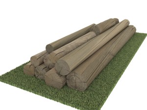 old logs 3D Model