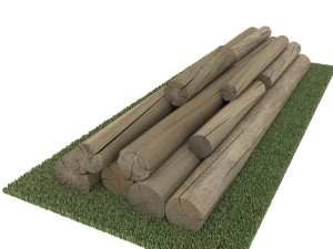 old logs 3D Model