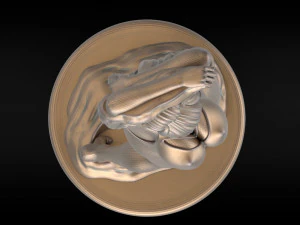 girl anime 3 3D Print Model