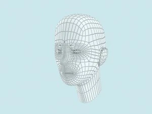 female head 3D Model