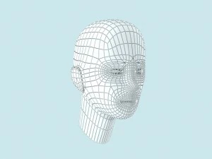 female head 3D Model