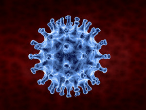 coronavirus 3D Model