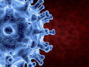 coronavirus Modèle 3D