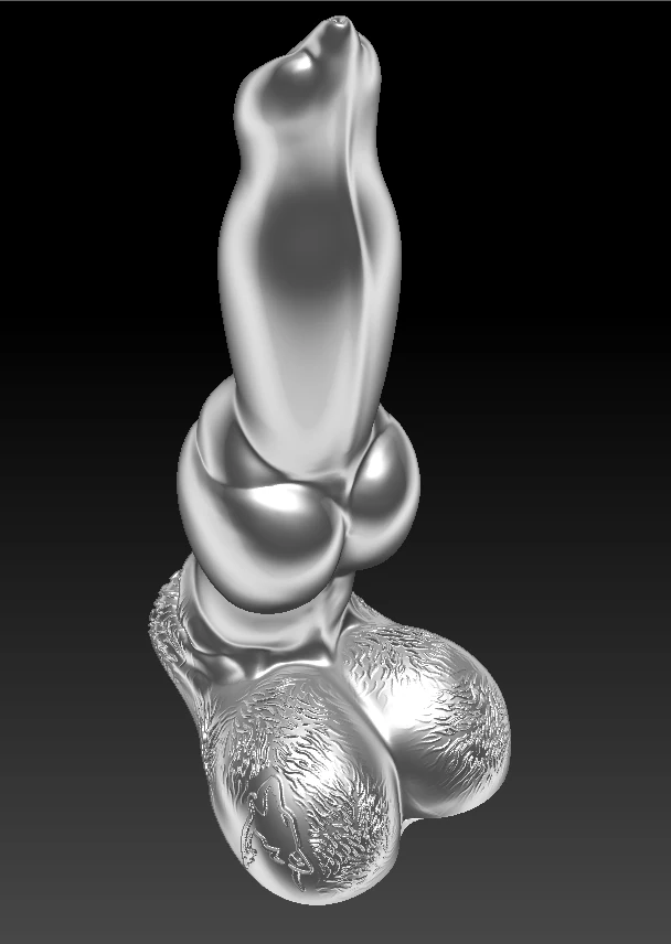 penis 3D Print Model .c4d .max .obj .3ds .fbx .stl .blend 